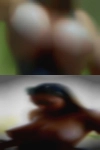 Horny woman seeking man